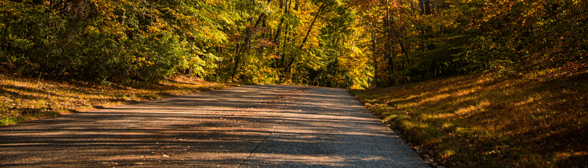 Country Roadway with fall colors surrounding the sides of the road.